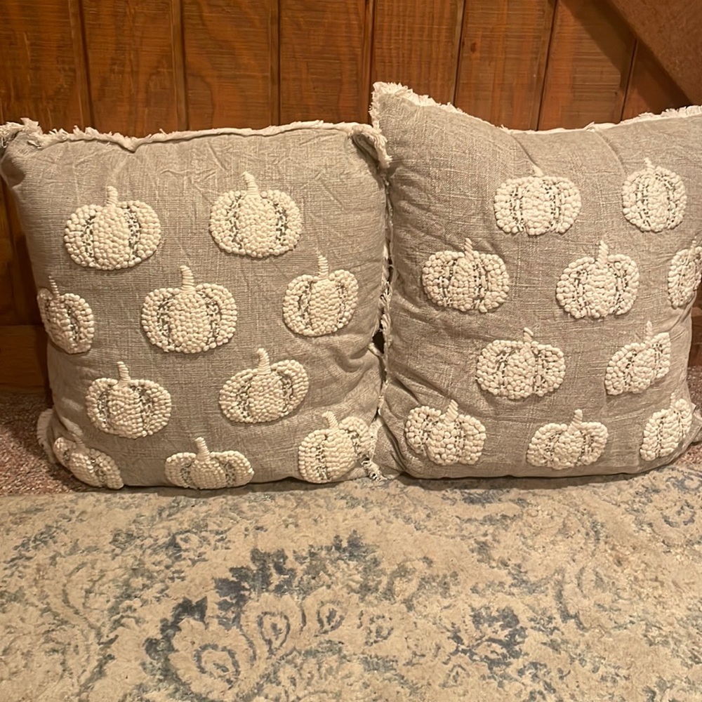 2 fall pillows